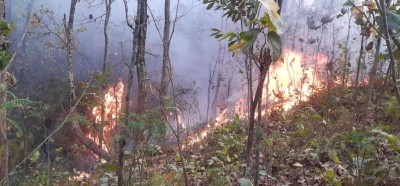 शुक्लाफाँटामा डढेलो नियन्त्रण नगर्ने सामुदायिक वनको सुविधा रोकियो