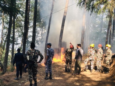 उग्रतारा मन्दिर पछाडीको जंगलमा डढेलो