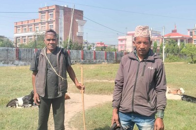 खसीबोका बिक्री नहुँदा निराश छन् डडेल्धुराका किसान