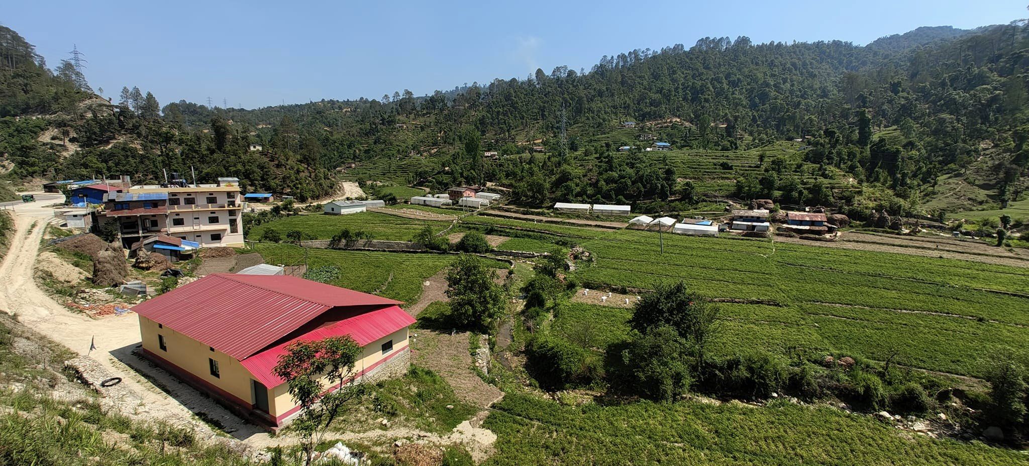 प्राङ्गारिक कृषि खेतीतर्फ आकर्षित हुँदै डडेल्धुराका कृषक