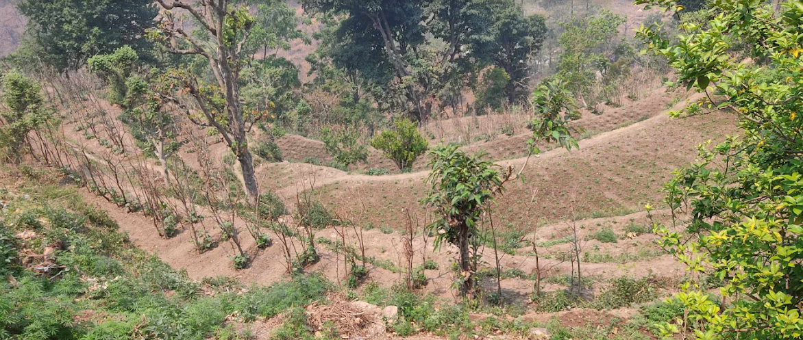 डडेल्धुराको भागेश्वर गाउँपालिकामा सुरु भयो नौलो अभ्यास, लागतका आधारमा दिन थालियो अनुदान