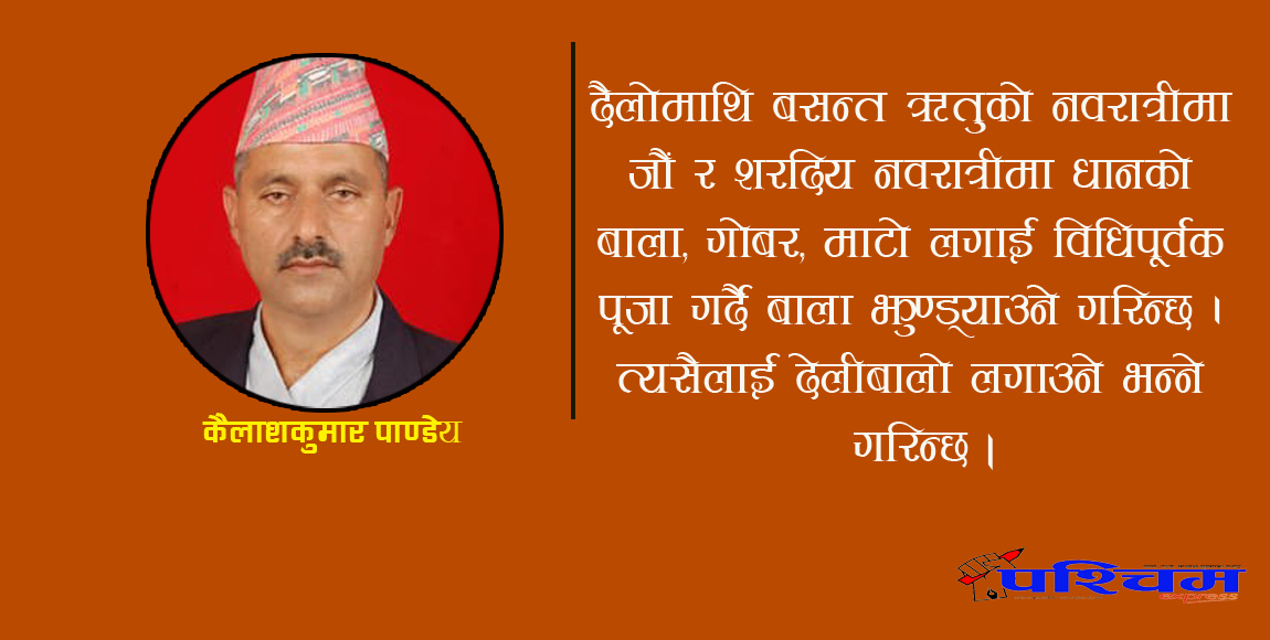 दसैं अनि डोटेली संस्कृतिको विशिष्ट परम्परा ‘देलीबालो’