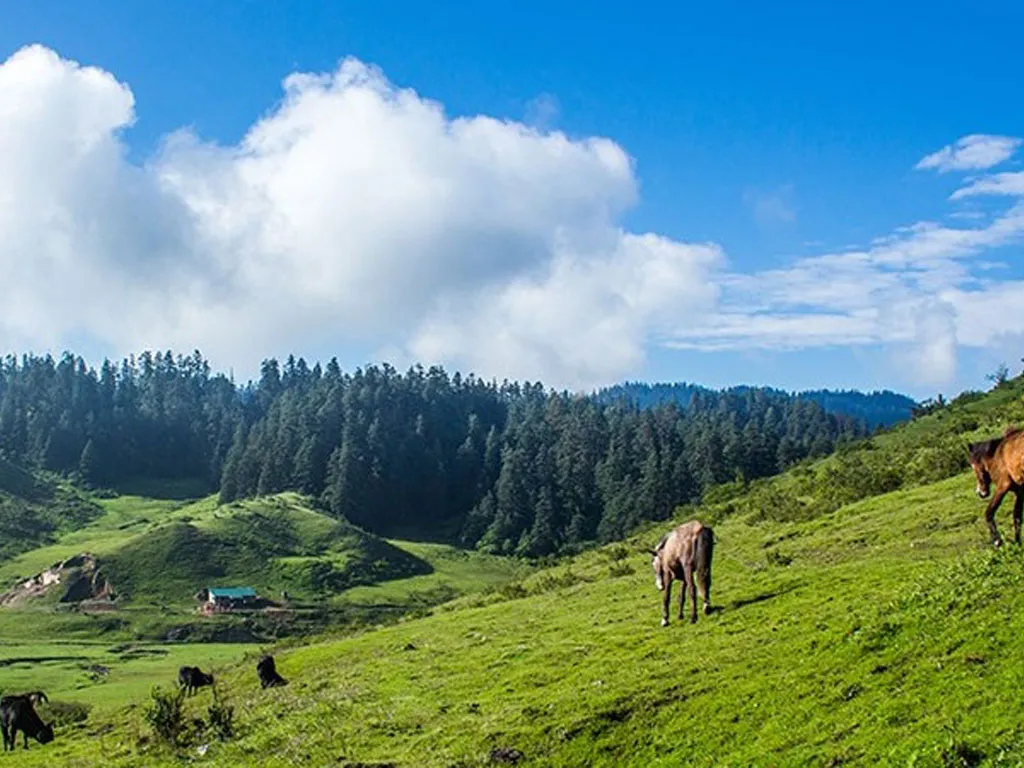 घट्यो खप्तड राष्ट्रिय निकुञ्जबाट सङ्कलन हुने राजस्व