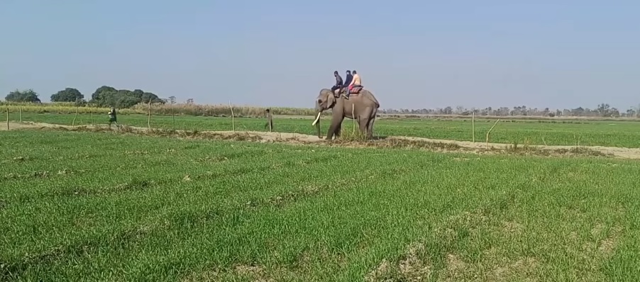 भारतले शुक्लाफाँटा राष्ट्रिय निकुञ्ज क्षेत्र अतिक्रमण गरेको पूर्वप्रधानमन्त्रीको दाबी